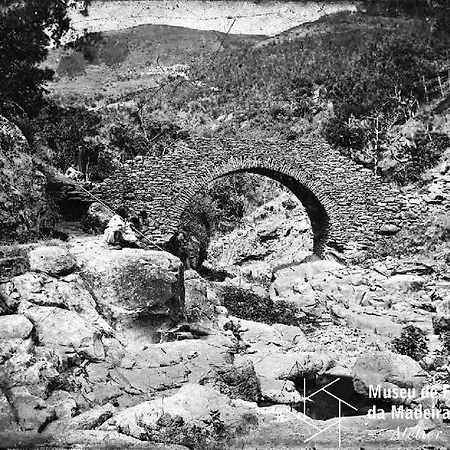 Julia, Mountain Retreat سانتا كروز