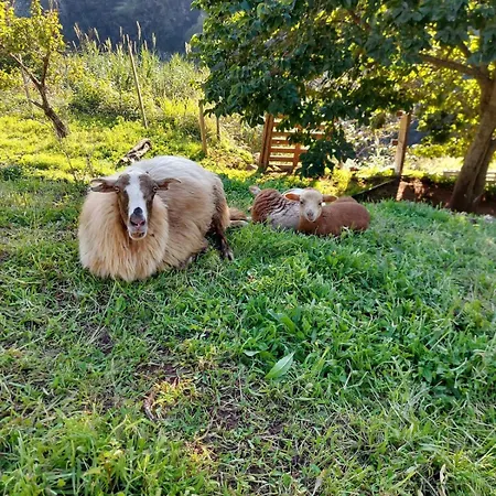 Julia, Mountain Retreat فيلة *