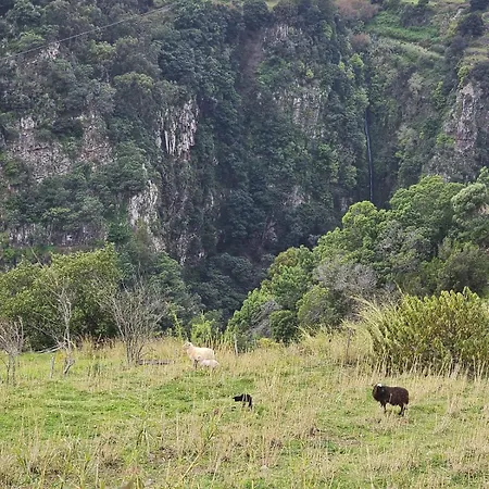 Julia, Mountain Retreat *