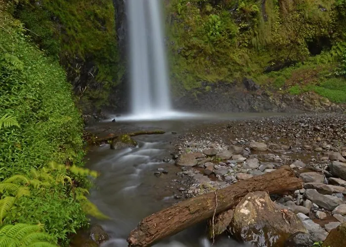 Vila Julia, Mountain Retreat Santa Cruz (Madeira)
