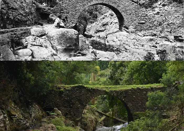 Vila Julia, Mountain Retreat Santa Cruz (Madeira)