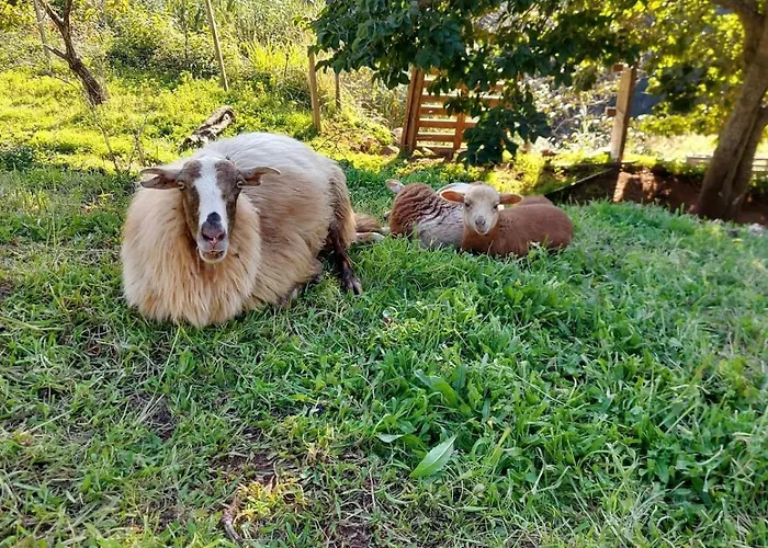 Julia, Mountain Retreat Vila *