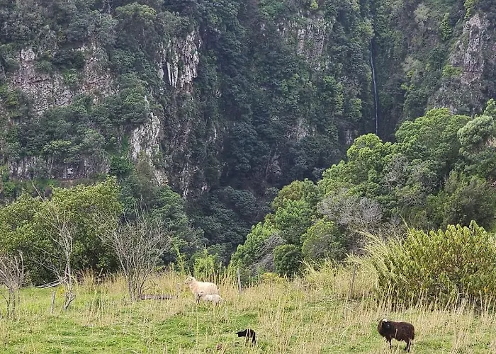 Julia, Mountain Retreat *